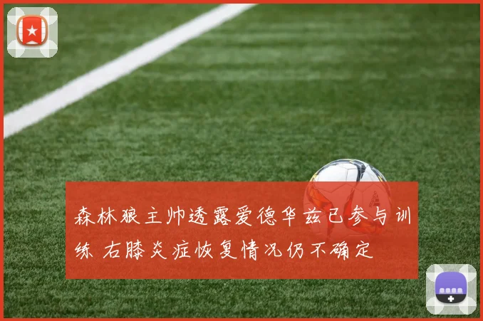 森林狼主帅透露爱德华兹已参与训练 右膝炎症恢复情况仍不确定