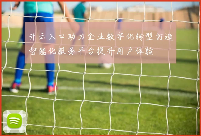 开云入口助力企业数字化转型打造智能化服务平台提升用户体验