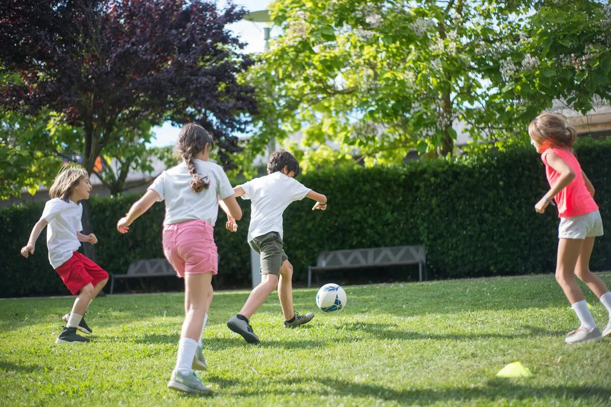 世界杯买球赔率深度解析及热门球队胜负趋势分析