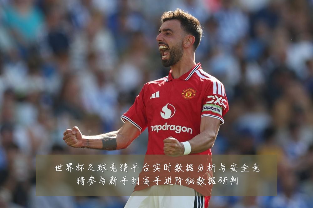 世界杯足球竞猜平台实时数据分析与安全竞猜参与新手到高手进阶秘数据研判