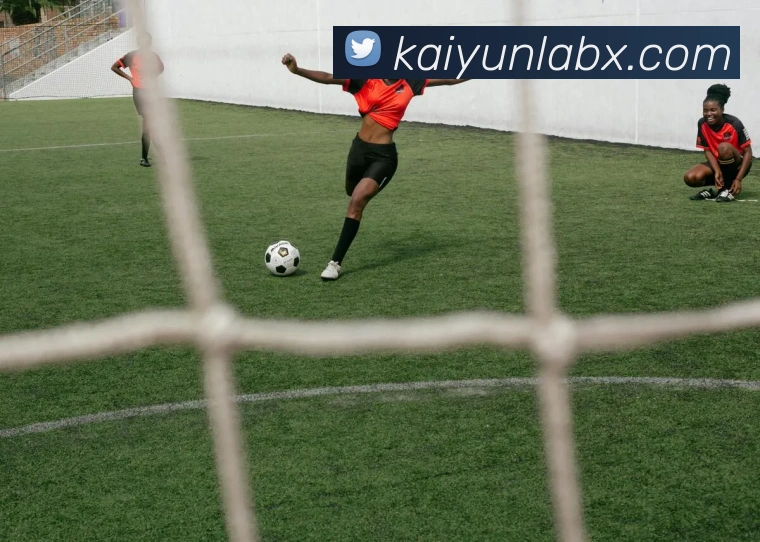 开云平台展示图