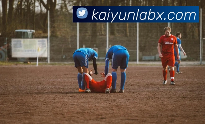 开云平台综合评测：功能特色与用户体验全面解析